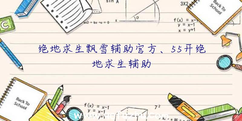 绝地求生飘雪辅助官方、55开绝地求生辅助