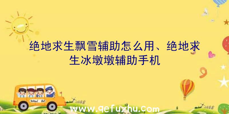 绝地求生飘雪辅助怎么用、绝地求生冰墩墩辅助手机