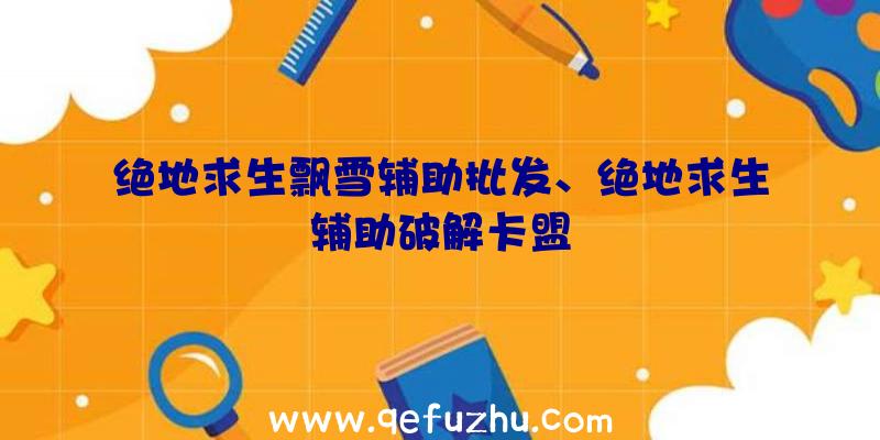 绝地求生飘雪辅助批发、绝地求生辅助破解卡盟