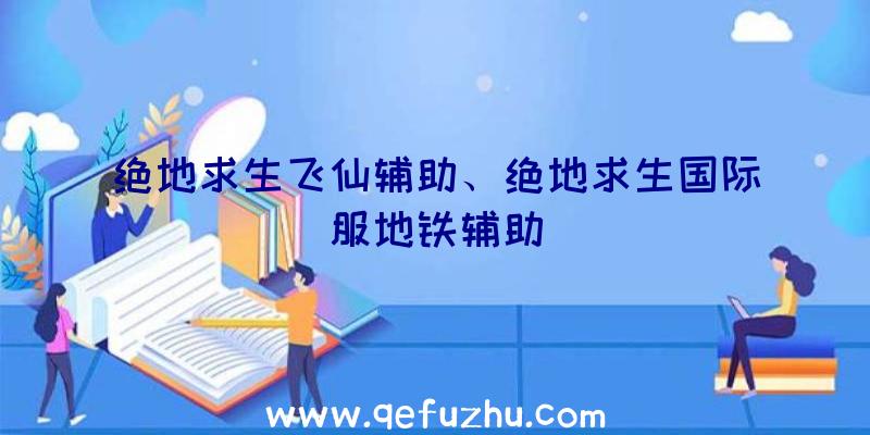 绝地求生飞仙辅助、绝地求生国际服地铁辅助