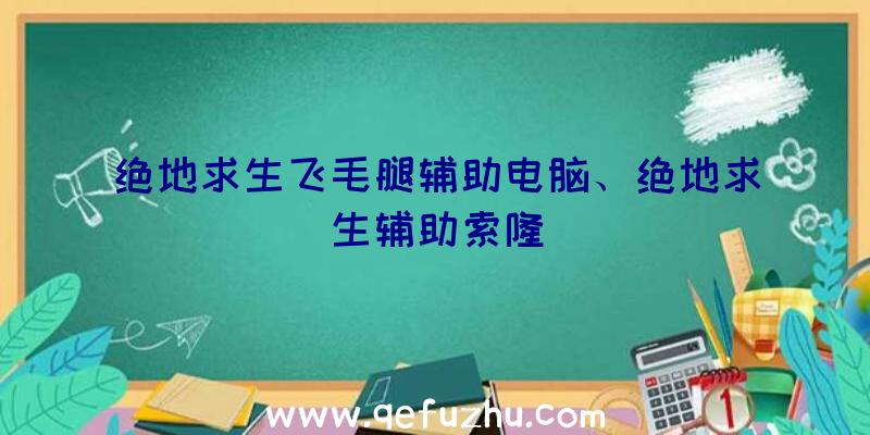 绝地求生飞毛腿辅助电脑、绝地求生辅助索隆