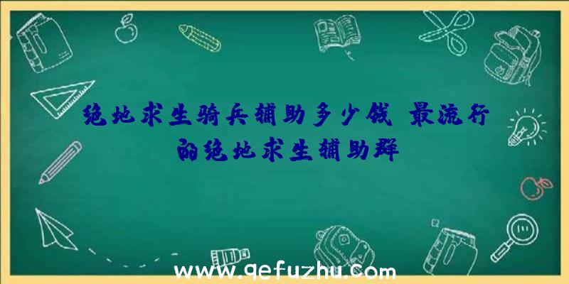 绝地求生骑兵辅助多少钱、最流行的绝地求生辅助群