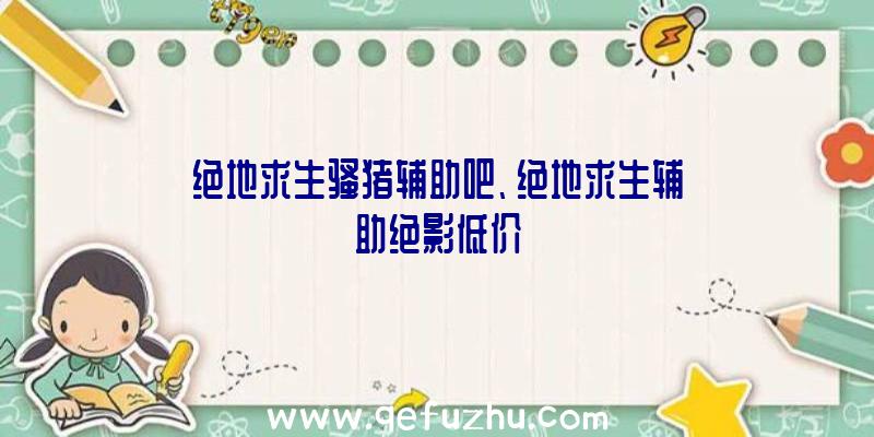 绝地求生骚猪辅助吧、绝地求生辅助绝影低价