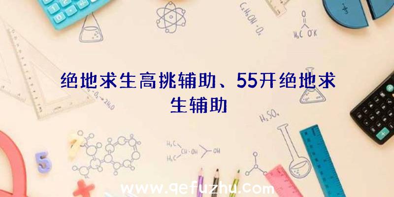 绝地求生高挑辅助、55开绝地求生辅助