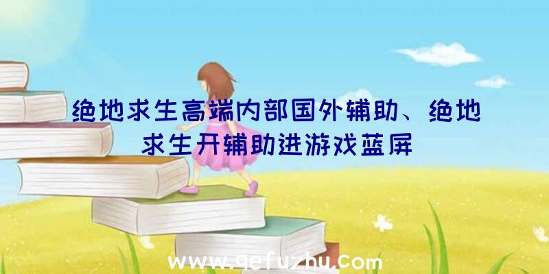 绝地求生高端内部国外辅助、绝地求生开辅助进游戏蓝屏