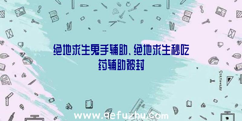 绝地求生鬼手辅助、绝地求生秒吃药辅助被封