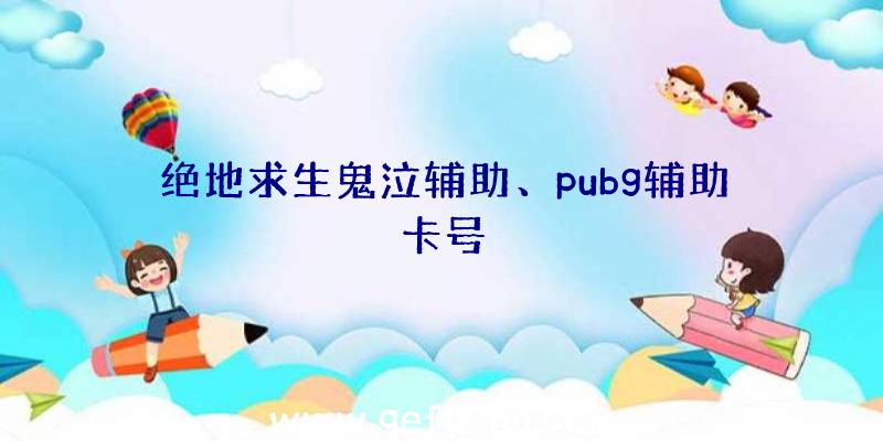 绝地求生鬼泣辅助、pubg辅助卡号