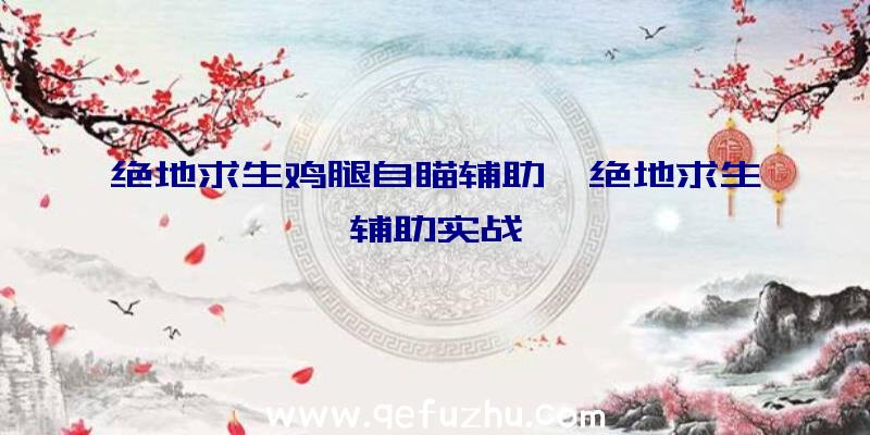 绝地求生鸡腿自瞄辅助、绝地求生辅助实战