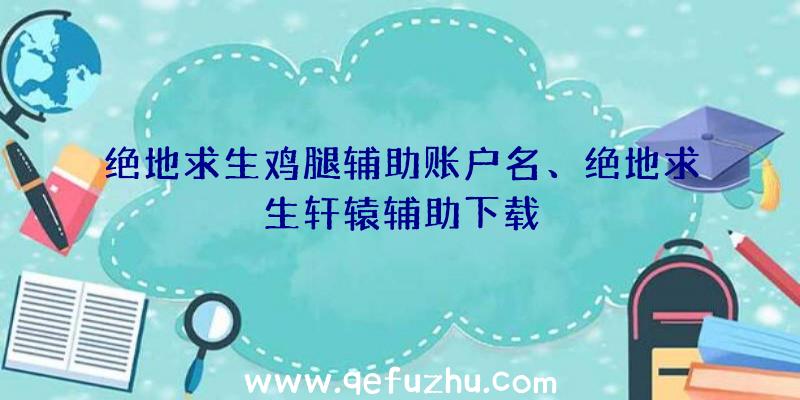 绝地求生鸡腿辅助账户名、绝地求生轩辕辅助下载