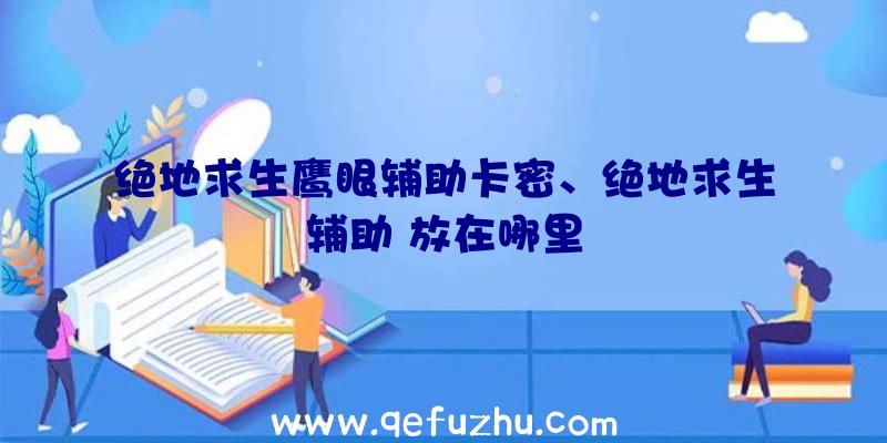 绝地求生鹰眼辅助卡密、绝地求生辅助