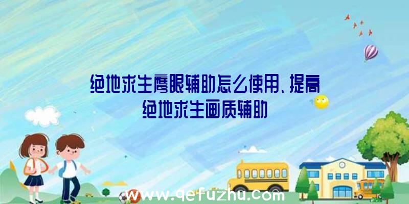 绝地求生鹰眼辅助怎么使用、提高绝地求生画质辅助