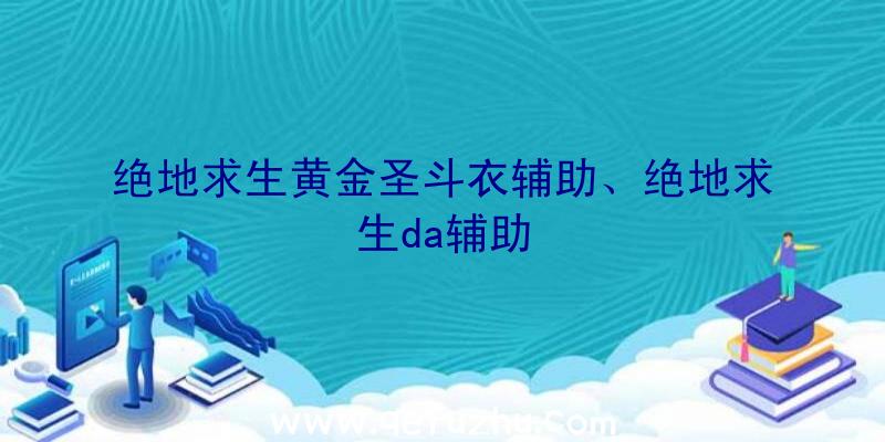 绝地求生黄金圣斗衣辅助、绝地求生da辅助