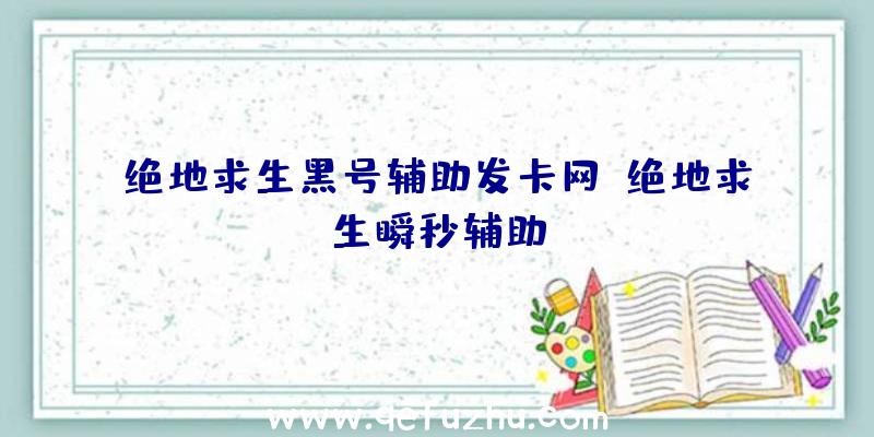 绝地求生黑号辅助发卡网、绝地求生瞬秒辅助