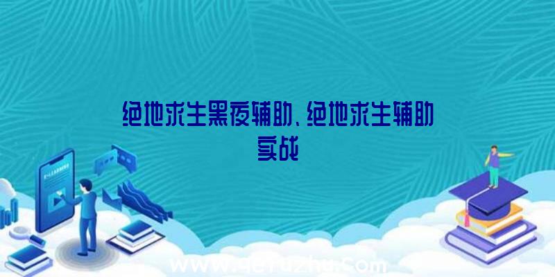 绝地求生黑夜辅助、绝地求生辅助实战