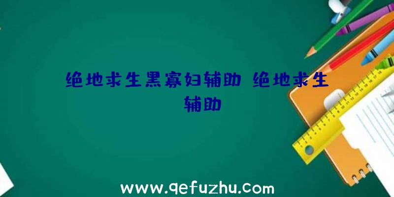 绝地求生黑寡妇辅助、绝地求生da辅助