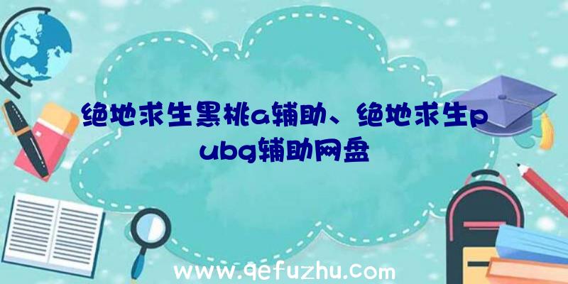 绝地求生黑桃a辅助、绝地求生pubg辅助网盘