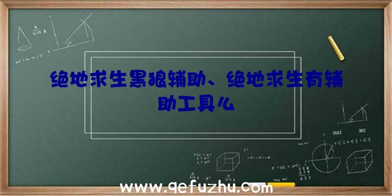 绝地求生黑狼辅助、绝地求生有辅助工具么