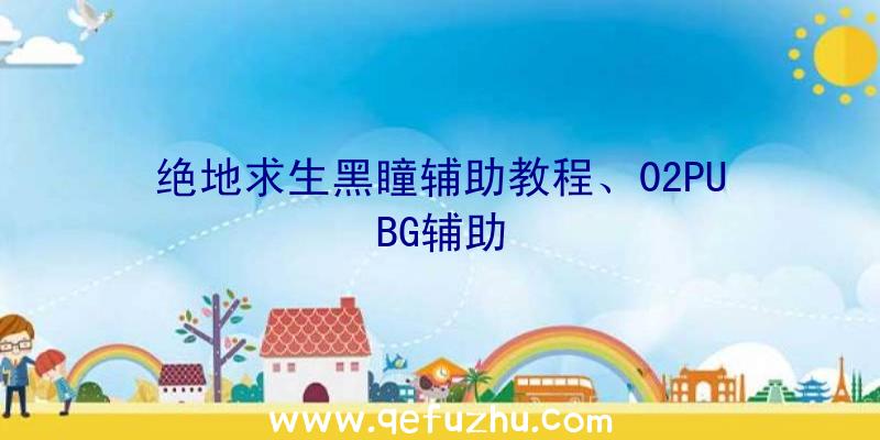 绝地求生黑瞳辅助教程、02PUBG辅助