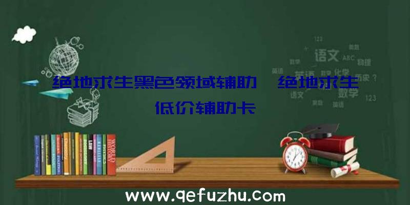 绝地求生黑色领域辅助、绝地求生低价辅助卡