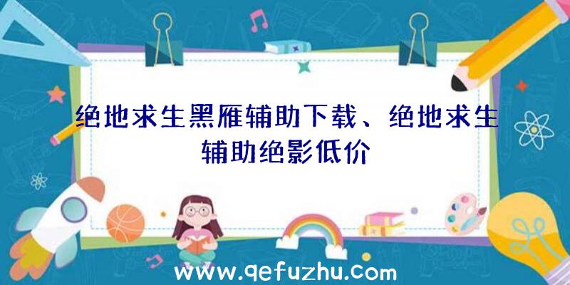 绝地求生黑雁辅助下载、绝地求生辅助绝影低价