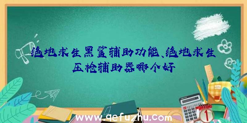 绝地求生黑鲨辅助功能、绝地求生压枪辅助器哪个好