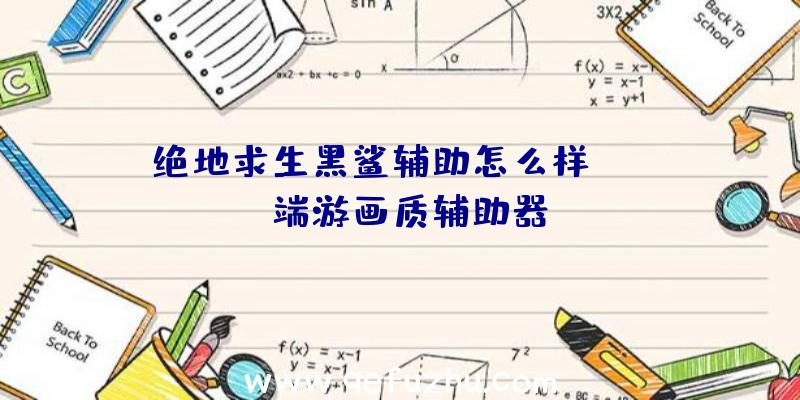 绝地求生黑鲨辅助怎么样、pubg端游画质辅助器