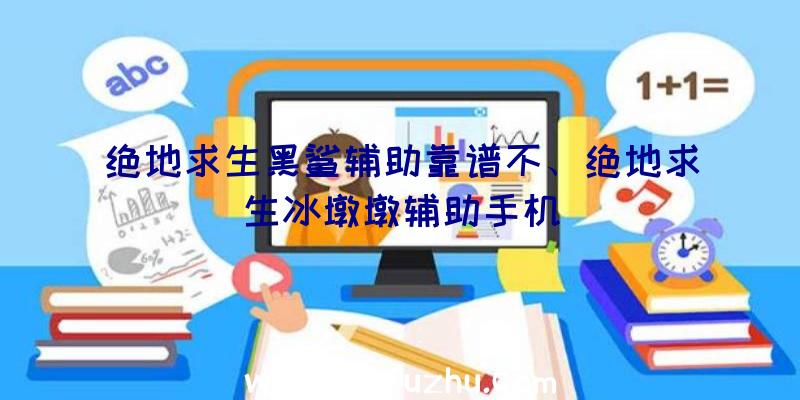 绝地求生黑鲨辅助靠谱不、绝地求生冰墩墩辅助手机