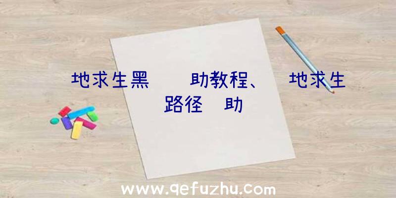 绝地求生黑鹰辅助教程、绝地求生