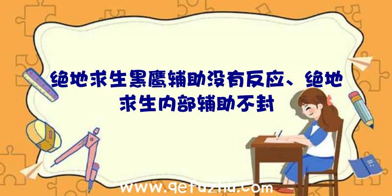 绝地求生黑鹰辅助没有反应、绝地求生内部辅助不封