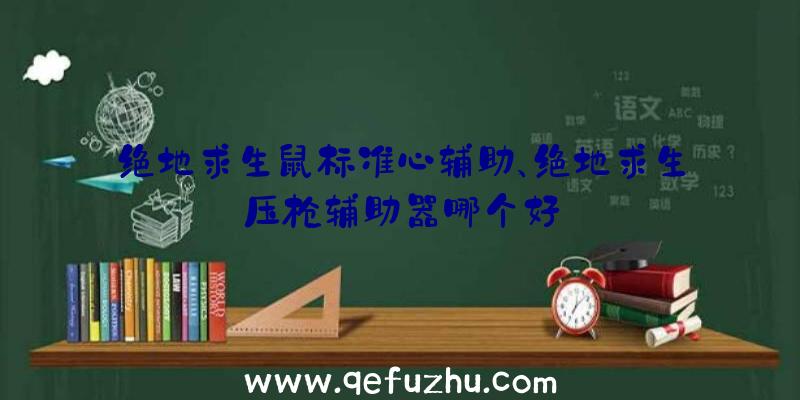 绝地求生鼠标准心辅助、绝地求生压枪辅助器哪个好