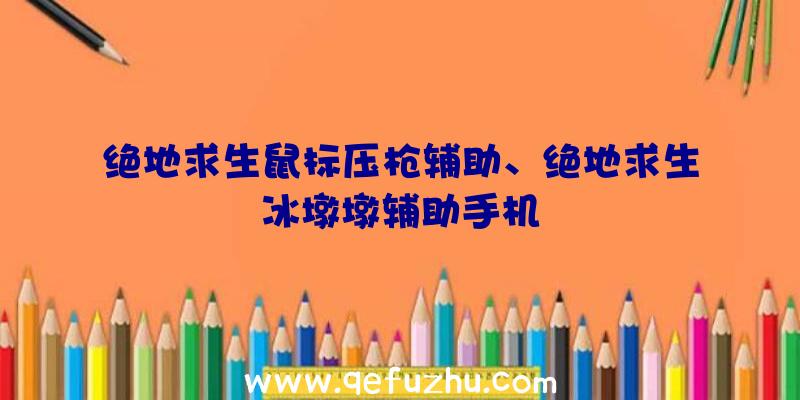 绝地求生鼠标压枪辅助、绝地求生冰墩墩辅助手机