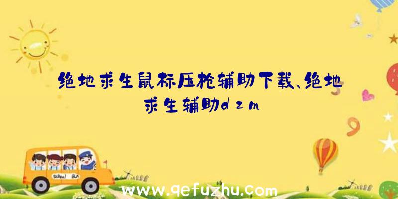 绝地求生鼠标压枪辅助下载、绝地求生辅助dzm