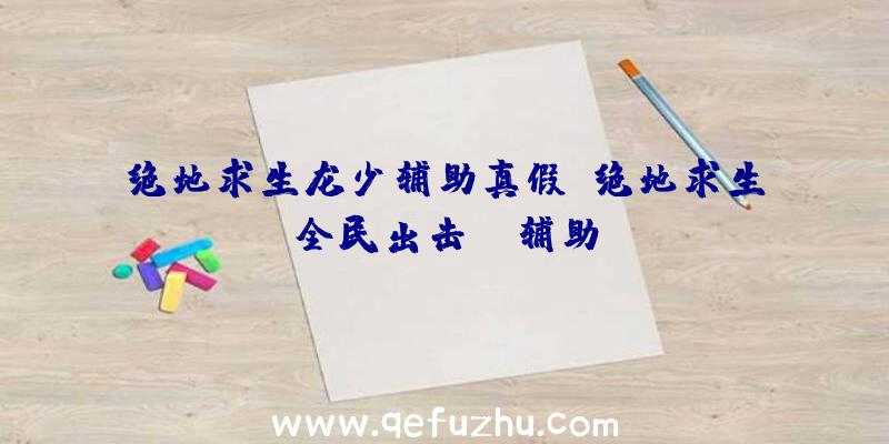 绝地求生龙少辅助真假、绝地求生全民出击pc辅助