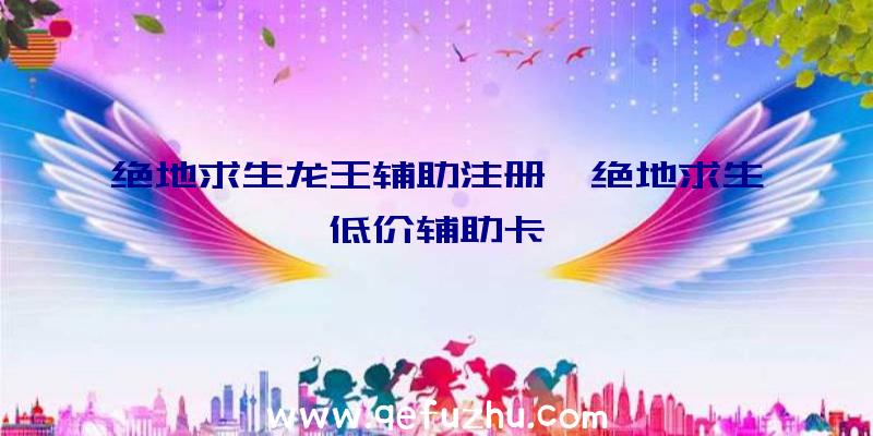 绝地求生龙王辅助注册、绝地求生低价辅助卡