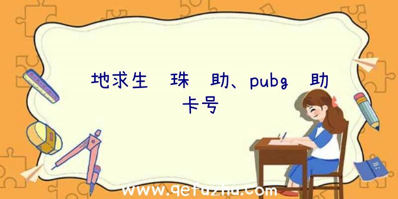 绝地求生龙珠辅助、pubg辅助卡号