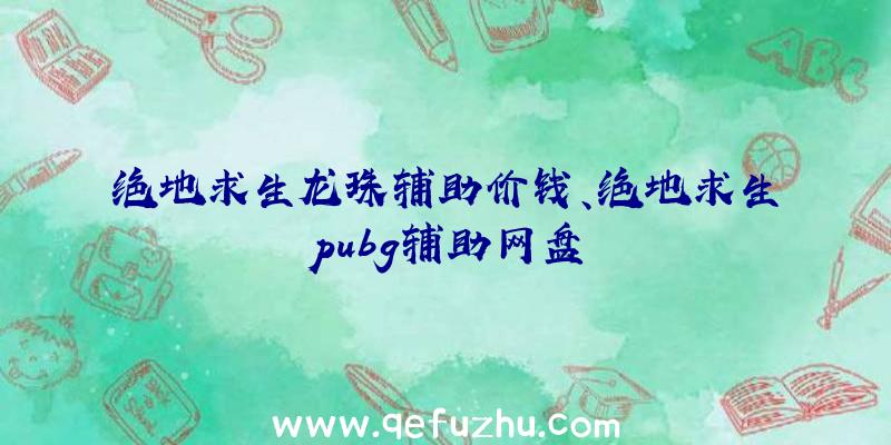 绝地求生龙珠辅助价钱、绝地求生pubg辅助网盘