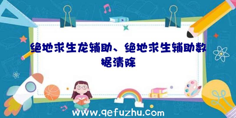 绝地求生龙辅助、绝地求生辅助数据清除