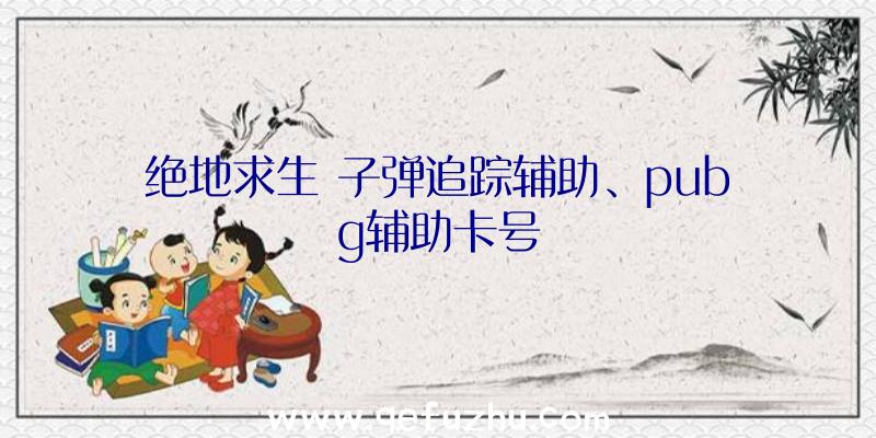 绝地求生+子弹追踪辅助、pubg辅助卡号