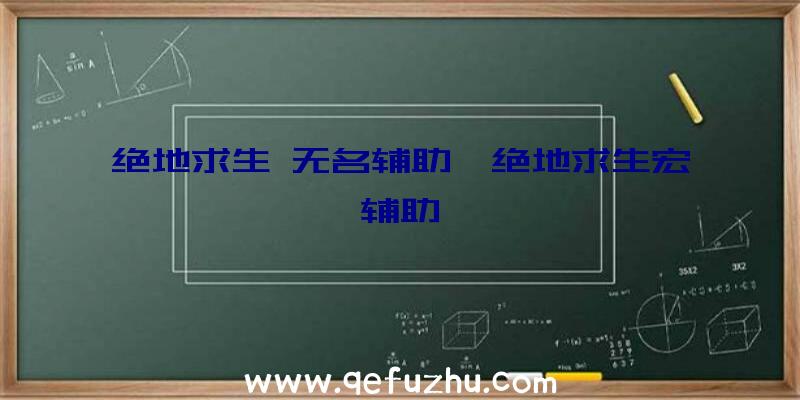 绝地求生+无名辅助、绝地求生宏辅助