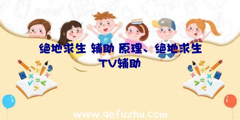 绝地求生+辅助+原理、绝地求生TV辅助