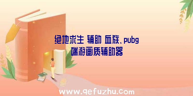 绝地求生+辅助+血族、pubg端游画质辅助器