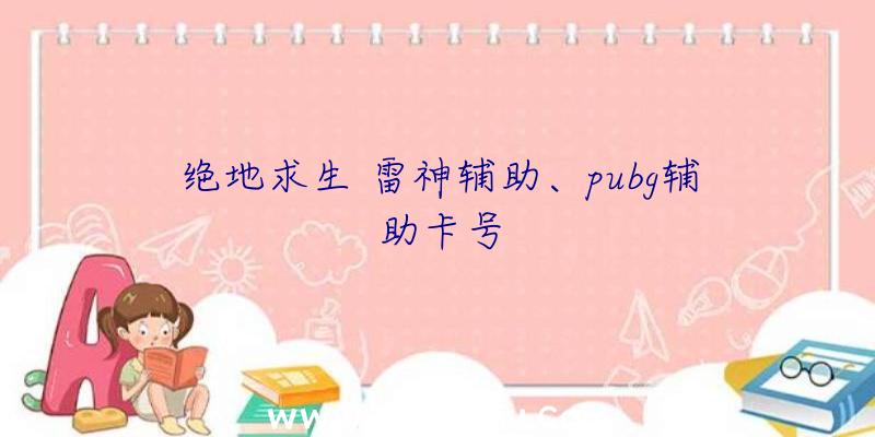 绝地求生+雷神辅助、pubg辅助卡号