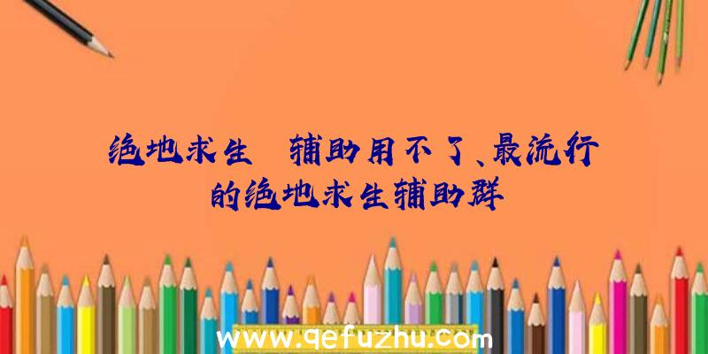 绝地求生++辅助用不了、最流行的绝地求生辅助群