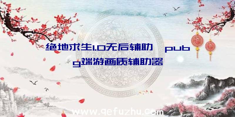 绝地求生1.0无后辅助、pubg端游画质辅助器