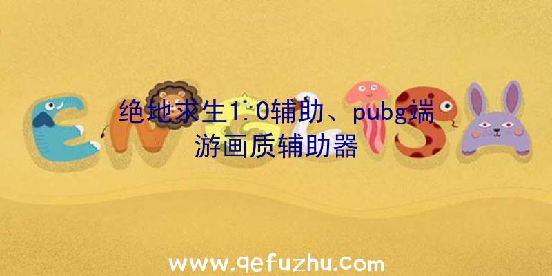 绝地求生1.0辅助、pubg端游画质辅助器