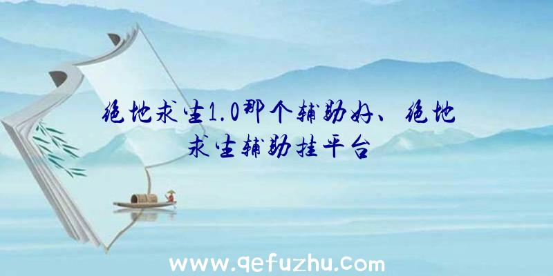 绝地求生1.0那个辅助好、绝地求生辅助挂平台