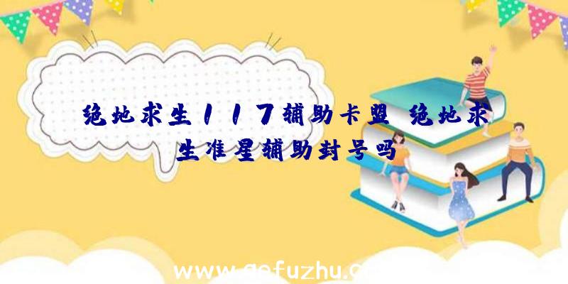 绝地求生117辅助卡盟、绝地求生准星辅助封号吗