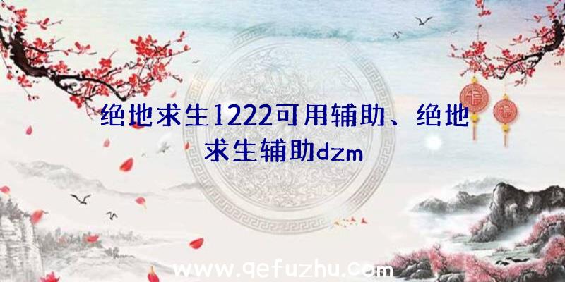 绝地求生1222可用辅助、绝地求生辅助dzm