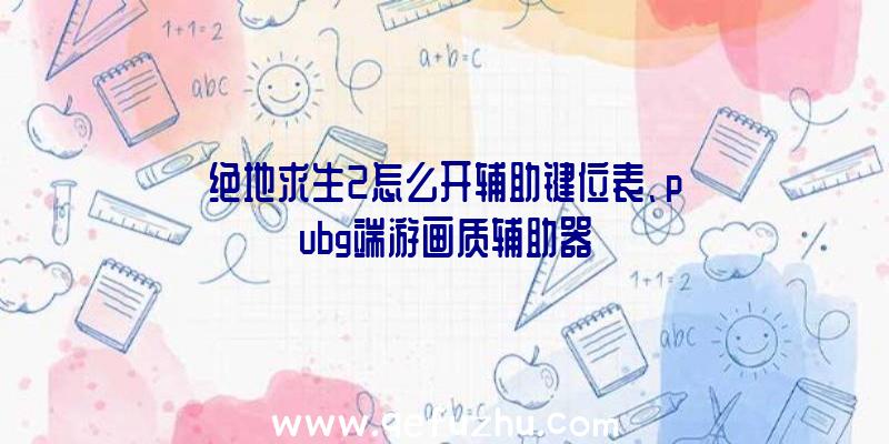 绝地求生2怎么开辅助键位表、pubg端游画质辅助器