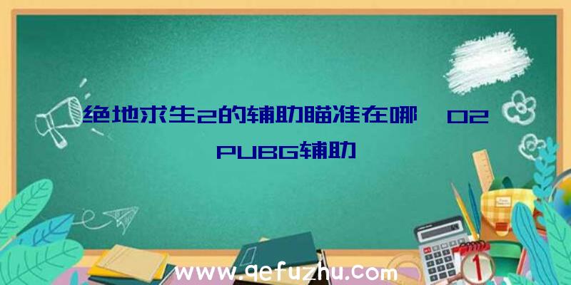 绝地求生2的辅助瞄准在哪、02PUBG辅助